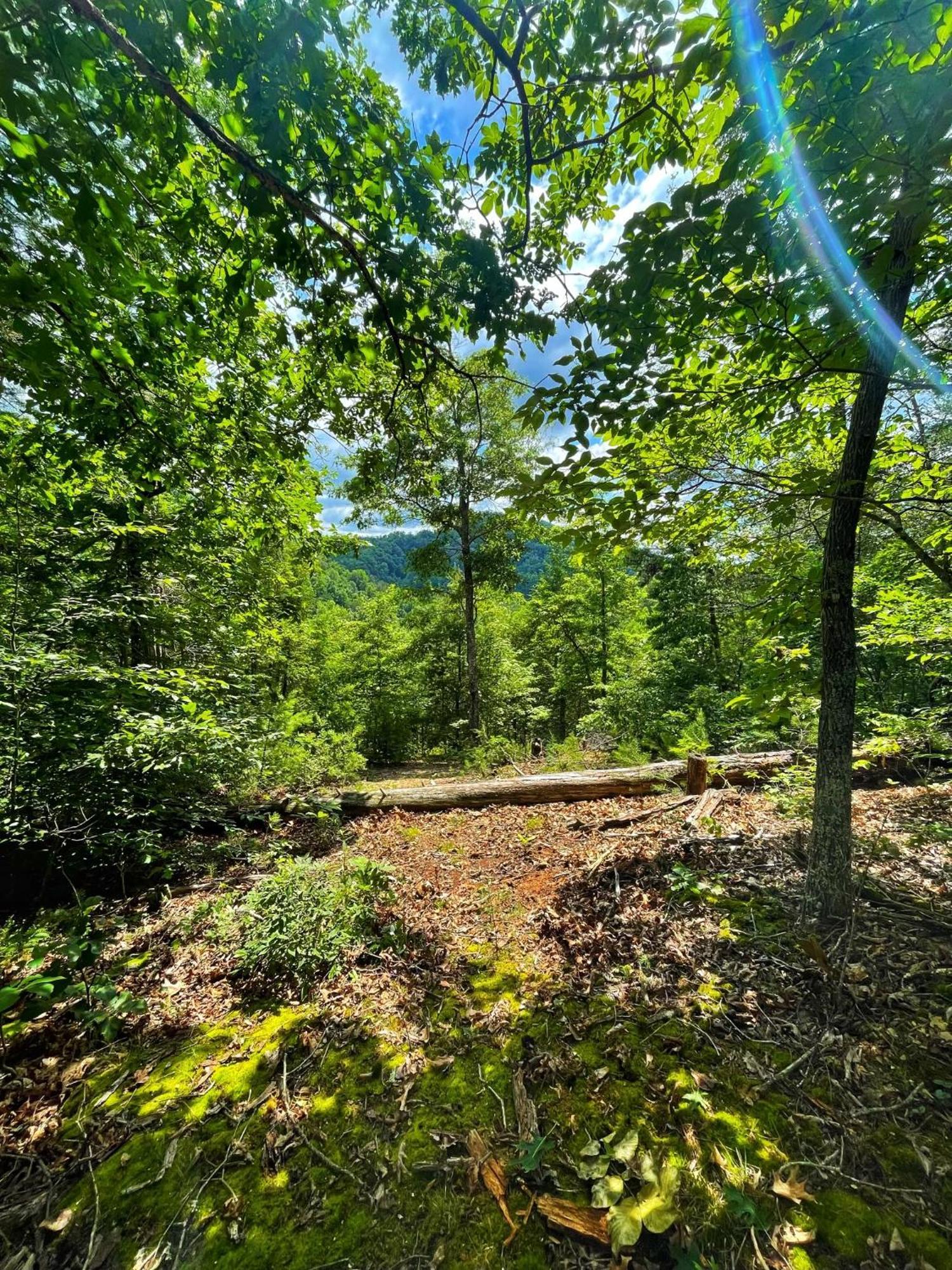 Tiny House, Wifi,Hot Tub,Secluded Villa Cosby Екстериор снимка