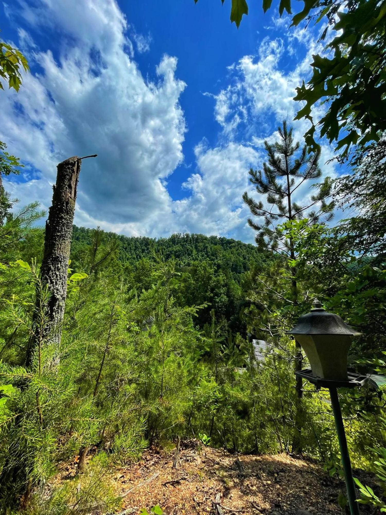 Tiny House, Wifi,Hot Tub,Secluded Villa Cosby Екстериор снимка